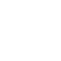 Stylized phoenix logo with outstretched wings in white design